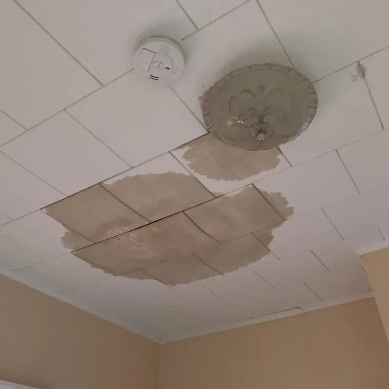 Ceiling Water Damage Repair in Shreveport, LA