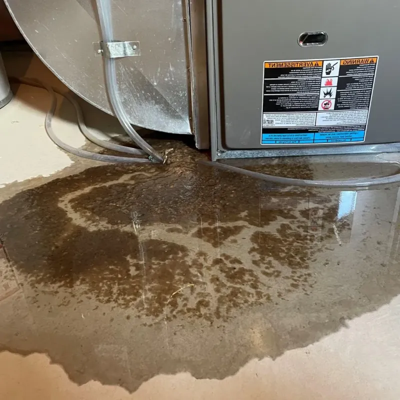 Pipe Burst and Leak Restoration in Shreveport, LA